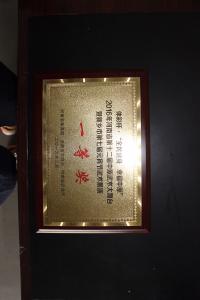 2016年河南省第十二届中原武术大舞台展示活动