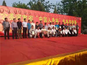 2015潞王陵比赛河南省蒲公英人寿杯武术比赛